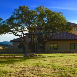 Photo of tree in front of house